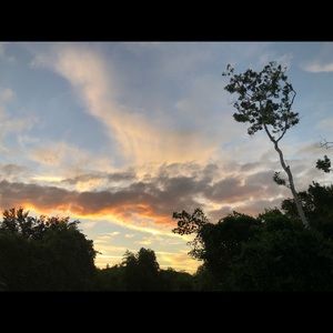 Meet your Posher, Ana